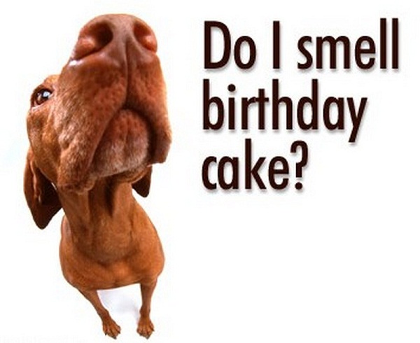 Funny Birthday Wishes, Quotes and Funny Birthday Messages Easyday