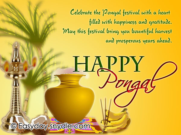 Pongal Wishes messages