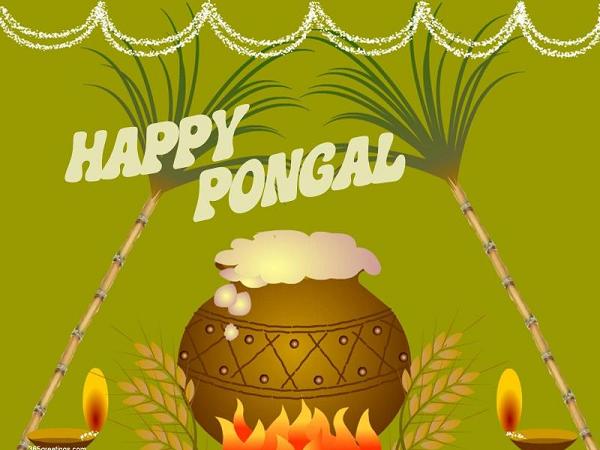 pongal-greetings