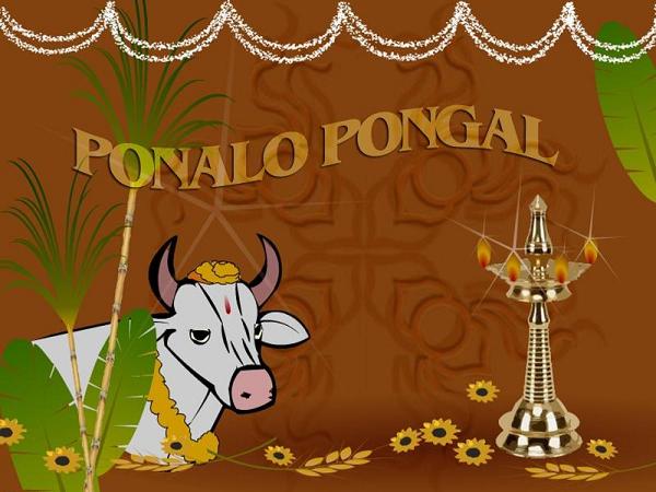 pongal-wishes
