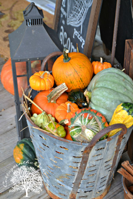 decorating-with-pumpkins-15