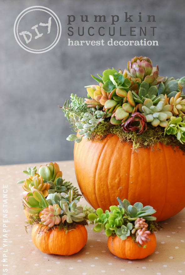 decorating-with-pumpkins-7